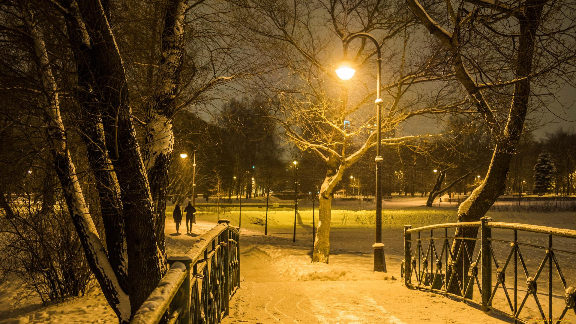 парк победы город зима
